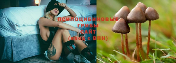 кокс Армянск