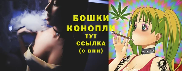 a pvp Аркадак