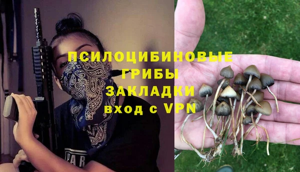 a pvp Аркадак